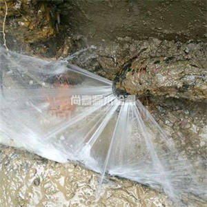 宋洛乡消防管道漏水检测